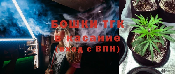 прущие грибы Кропоткин