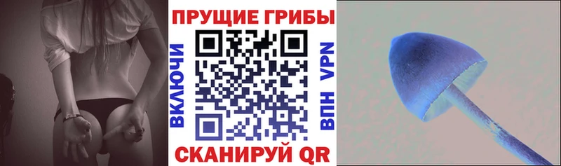 Галлюциногенные грибы Psilocybine cubensis  Спасск-Дальний 