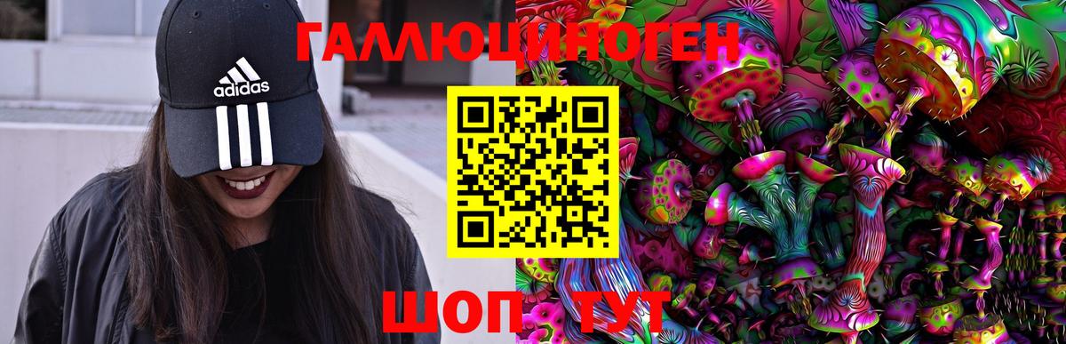 Галлюциногенные грибы Psilocybine cubensis  Вход с VPN  Псилоцибиновые грибы ЛСД  Спасск-Дальний 