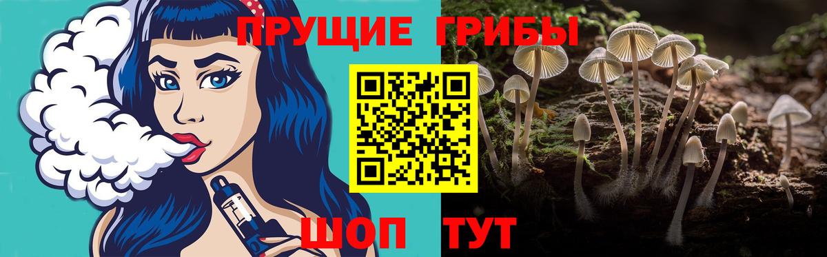 Гашиш  Спасск-Дальний  Меф МЯУ МЯУ кристаллы  ЭКСТАЗИ  Конопля  Cocaine  Гашиш  A PVP СК кристаллы 